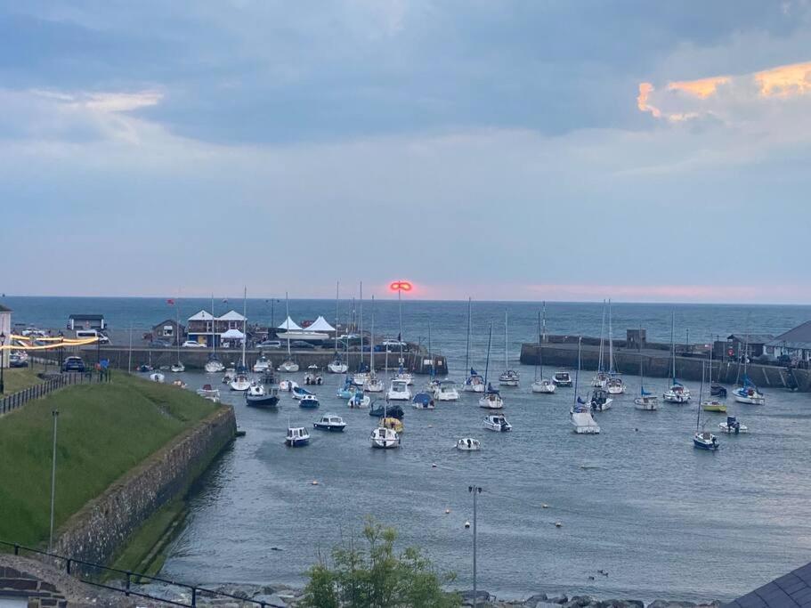 Aberaeron Island House - Panoramic Harbour Views Exterior foto
